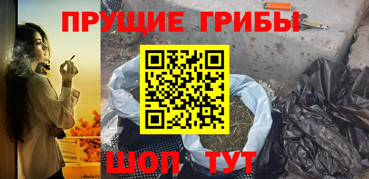 Псилоцибиновые грибы Magic Shrooms  Вход с VPN  Ессентуки  Галлюциногенные грибы Magic Shrooms 