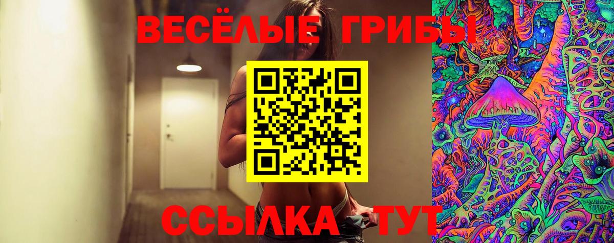 Псилоцибиновые грибы Psilocybine cubensis Ессентуки
